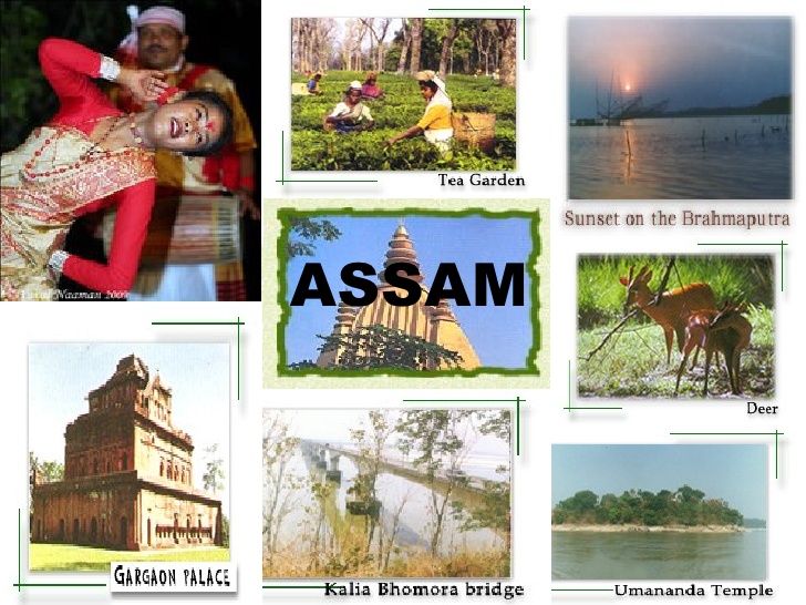 tourism assam